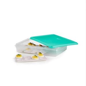 Tupperware Snack-Stor Large with Egg Inserts